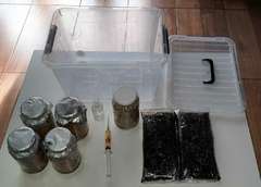 KIT 30 dias con INCUBADORA Gen. CUCUMEL0