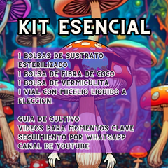 Kit Esencial Mexican Dutch Principiantes en internet
