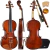 VIOLINO 4/4 VE441 EAGLE