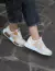 ORQUIDEA BLANCO - tienda online