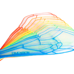 Imagen de Rainbow