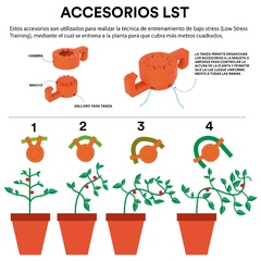 Accesorio LST - comprar online