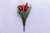 Pick Mini Tulipas Vermelha - comprar online
