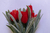Pick Mini Tulipas Vermelha