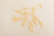 Mini Coral Off White 100g