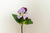 Flor Amor Perfeito - comprar online