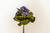 Buquê Mini Geranium Roxo - comprar online