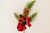 Pick Berries e Pinha