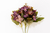 Broto de Hortênsia Roxo