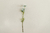 Flor COSMOS X 3 - comprar online