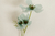 Flor COSMOS X 3
