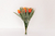 Pick Mini Tulipas Laranja na internet