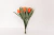 Pick Mini Tulipas Laranja na internet