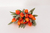 Pick Mini Tulipas Laranja