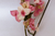 Bougainvillea Rosa na internet