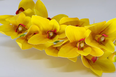 Orquídea Amarelo Outono - comprar online