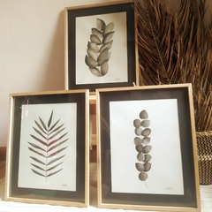 Trio "Negro&agua"