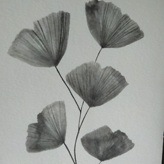 "Ginkgo" en internet
