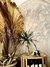 Banner de Josefa Amparola  ~ Arte & Deco ~