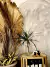Banner de Josefa Amparola  ~ Arte & Deco ~