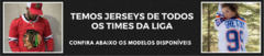 Banner da categoria NHL