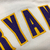 Imagem do Camisa Jersey Los Angeles Lakers - Mitchell and Ness - 8 Kobe Bryant
