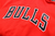 Agasalho Chicago Bulls - Comemorativo 75 anos da liga - MVP Jerseys