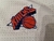 Bermuda Sorts - New York Knicks - Classica Edição Especial - loja online
