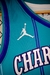 Camisa Jersey Charlotte Hornets - 2 LaMelo Ball - 20 Gordon Hayward - 3 Terry Rozier - 1 LaMelo Ball na internet