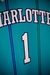 Camisa Jersey Charlotte Hornets - 2 LaMelo Ball - 20 Gordon Hayward - 3 Terry Rozier - 1 LaMelo Ball - loja online