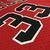 Camisa Jersey Chicago Bulls - 33 Scottie Pippen - Mitchell and Ness - comprar online