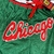 Imagem do Bermuda Shorts - Chicago Bulls - Classica Edição Especial - Just Don