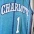 Camisa Jersey Charlotte Hornets - 2 LaMelo Ball - 20 Gordon Hayward - 3 Terry Rozier - 1 LaMelo Ball - MVP Jerseys