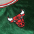 Imagem do Camisa Jersey Chicago Bulls - 1 Derrick Rose - Mitchell and Ness 2008 - 09