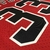 Camisa Jersey Chicago Bulls - 33 Scottie Pippen - Mitchell and Ness na internet