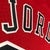 Camisa Jersey Chicago Bulls - 23 Michael Jordan - Mitchell and Ness - MVP Jerseys