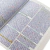 biblia-evangelismo-arc-capa-leao-de-juda-editora-edifique-sku-49802-interno2-site-min