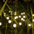 Imagen de Luces Solares Led Jardin Exterior Ramo Bombillas x2 unidades
