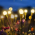 Luces Solares Led Jardin Exterior Ramo Bombillas x2 unidades - Compra Fácil Online