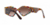 Anteojos de sol Dolce & Gabbana Half Print DG 008 Carey en internet