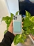 Billetera de cuero para iphone con MagSafe - tienda online