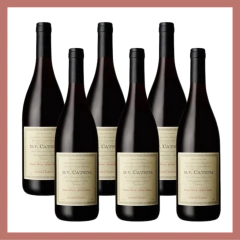 DV CATENA PINOT NOIR - comprar online