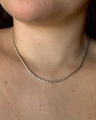 Colar Torcido Bicolor Aço