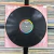 Great White - Twice Shy - loja online