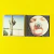 Superchunk - "On The Mouth" (Importado) - Supernova Discos