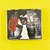 Anti-Pasti - No Government The Best Of (Importado) - comprar online