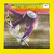 Scorpions - Fly To The Rainbow - comprar online