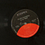 10000 Maniacs - In My Tribe (Importado) - loja online