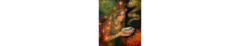 Banner de la categoría Box para Sahumar