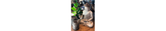 Banner de la categoría Estatuas